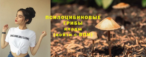 молекула духа Пересвет