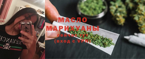 молекула духа Пересвет