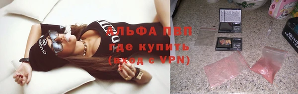 молекула духа Пересвет