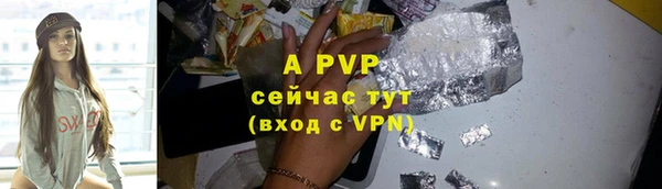 прущие грибы Пестово