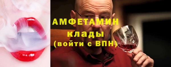 прущие грибы Пестово