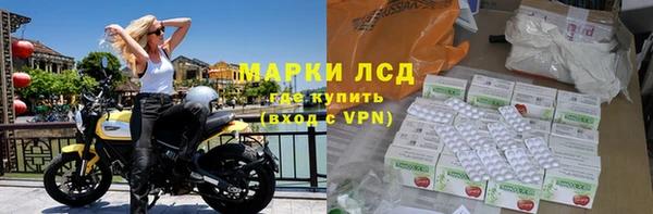 прущие грибы Пестово
