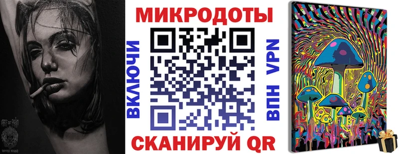Галлюциногенные грибы Psilocybe Вольск