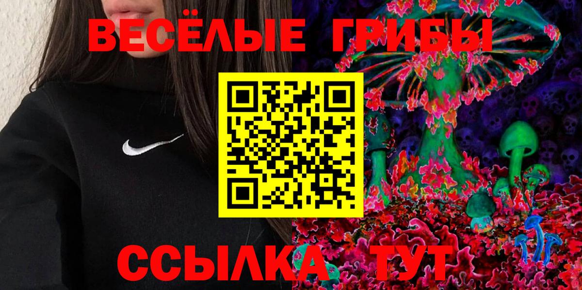 Псилоцибиновые грибы Psilocybe  Вольск  Псилоцибиновые грибы Magic Shrooms 